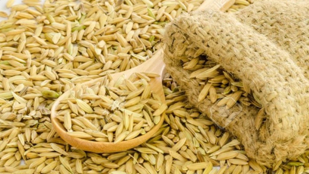 किसानलाई अनुदानमा उन्नत जातको धानको बीउ