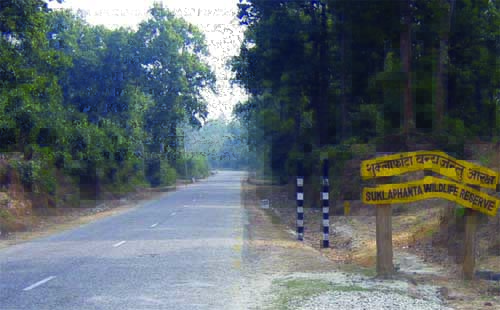 वन्यजन्तु सप्ताह : सचेतना र संरक्षणमा जोड