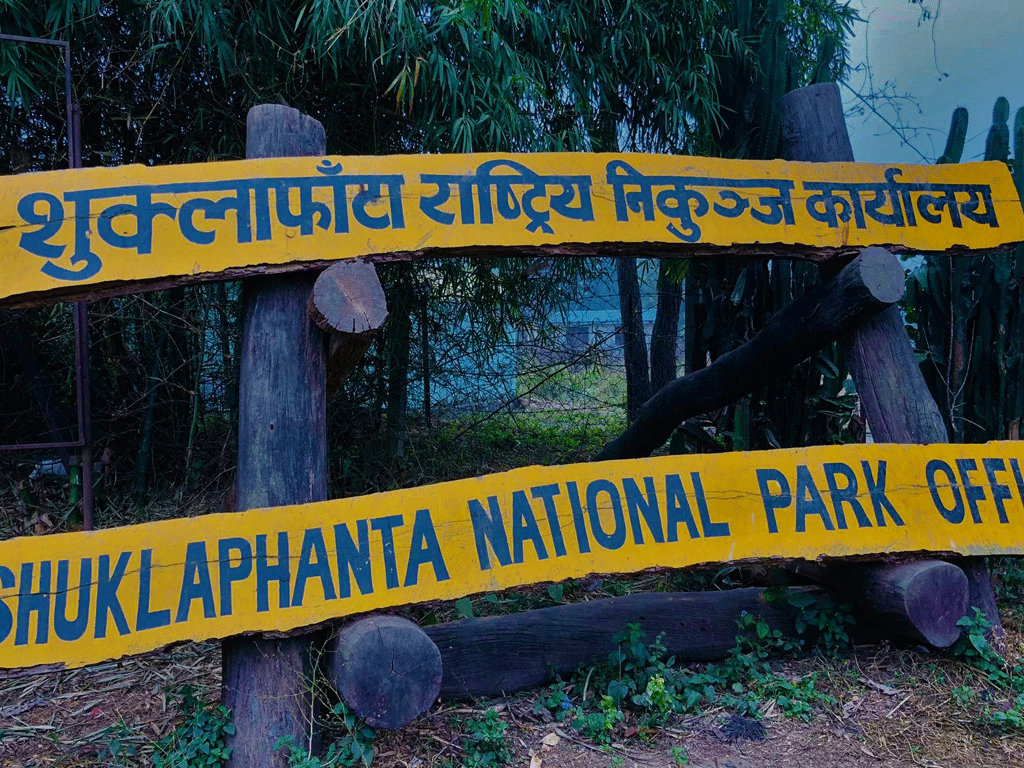 शुक्लाफाँटा राष्ट्रिय निकुञ्जमा बाह्रसिंगा गणना सुरु