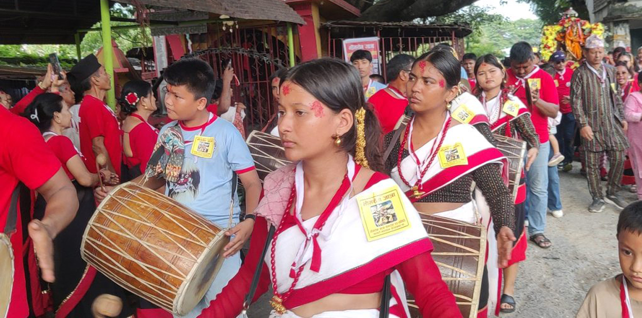 धिमेमा झुम्दै नयाँ पुस्ता