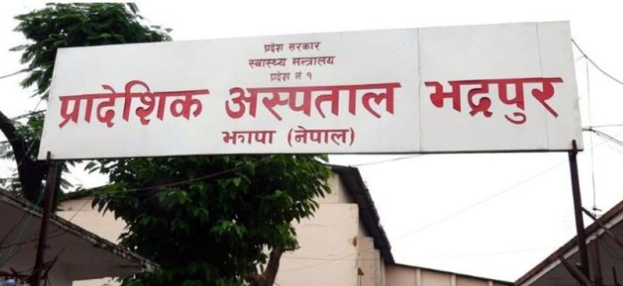 जंगली च्याउ खाँदा एकै परिवारका ११ जना बिरामी
