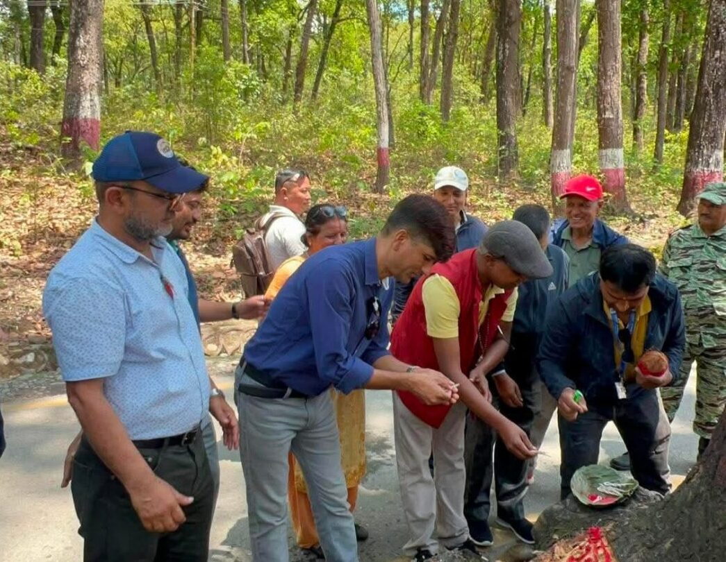 सडक किनारका जोखिमयुक्त रुख हटाउँदै वन कार्यालय