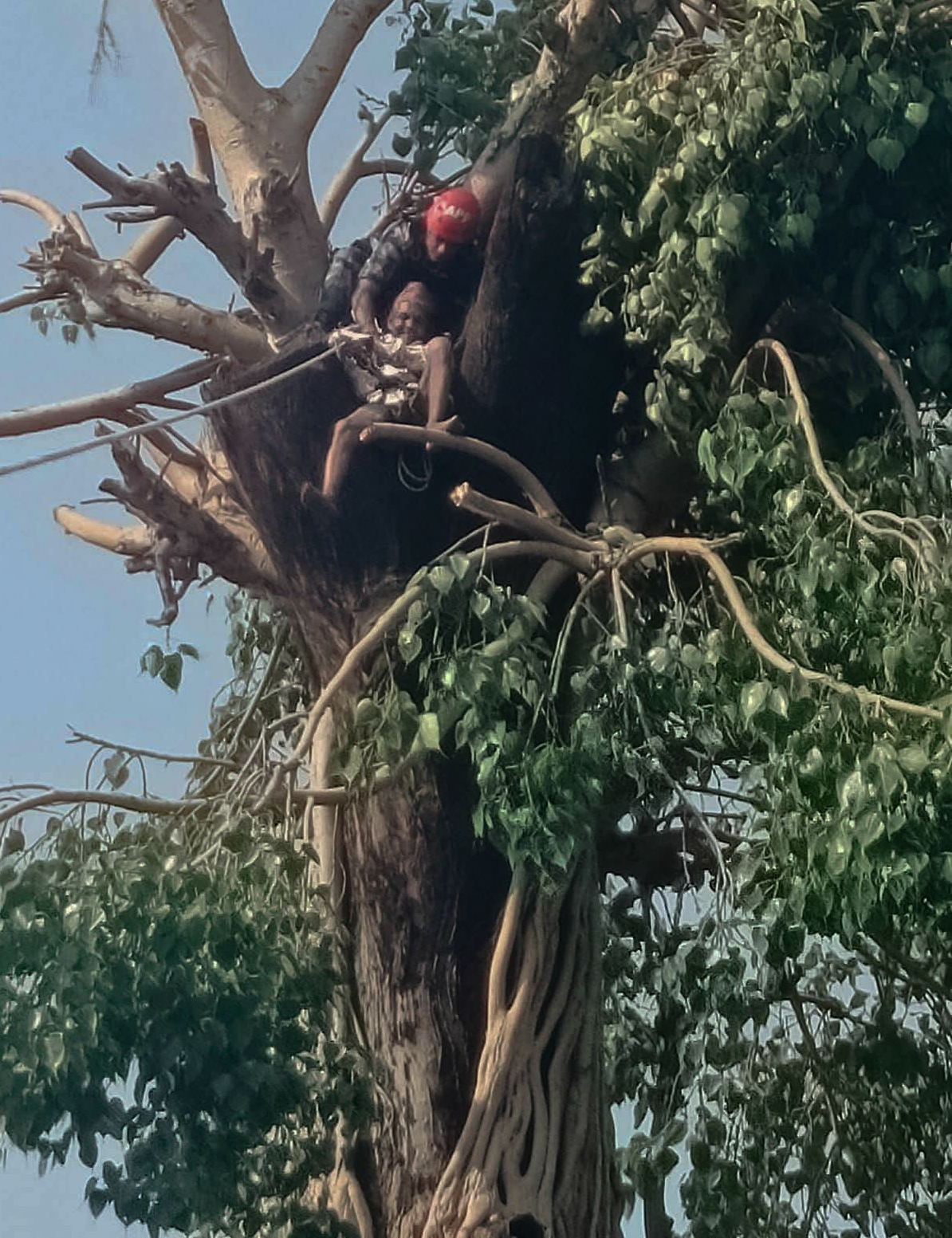 रूखमा अड्किएका लालबहादुरको उद्धार