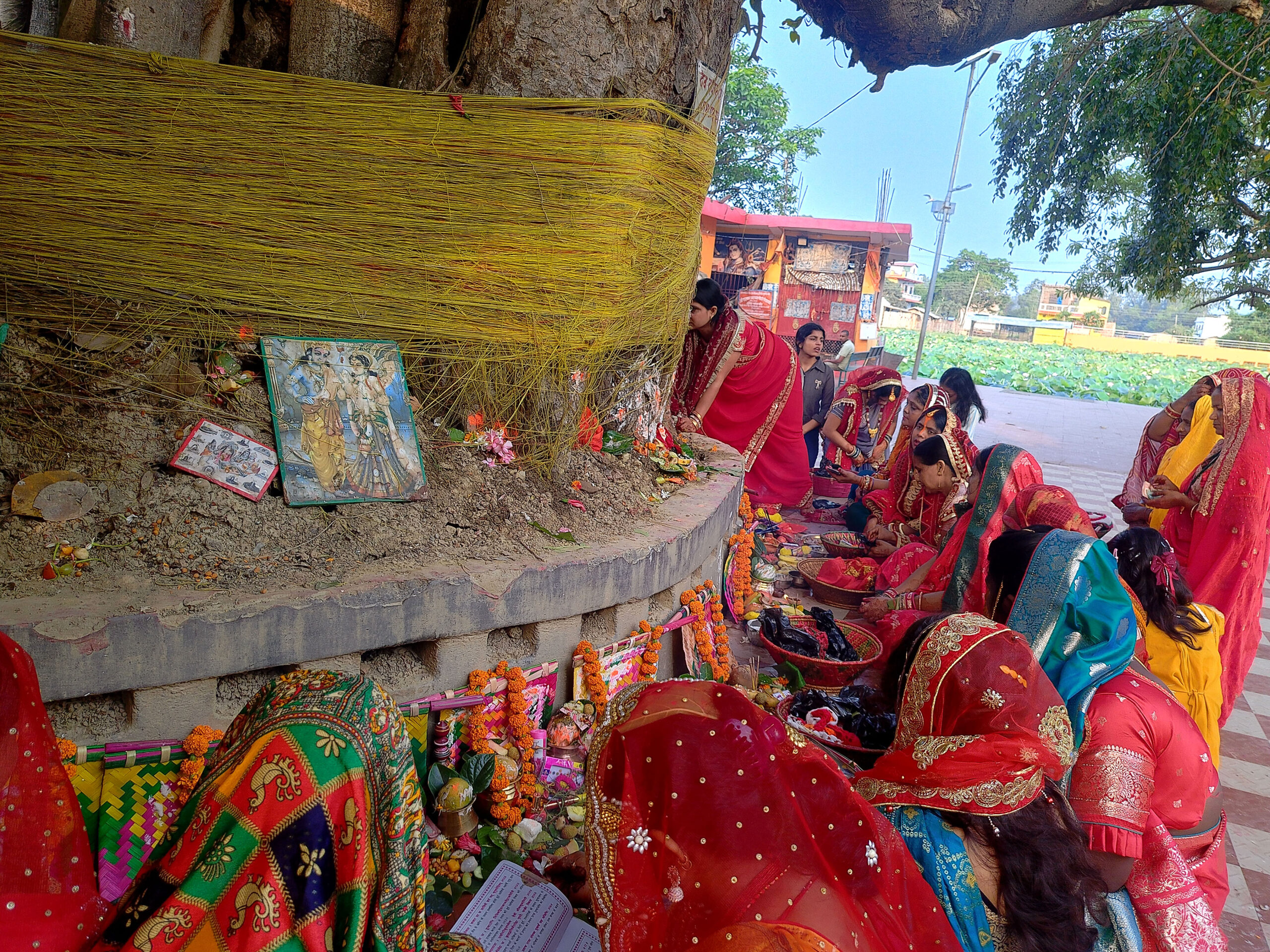 आज मिथिलामा ‘बर्साइत’ पर्व