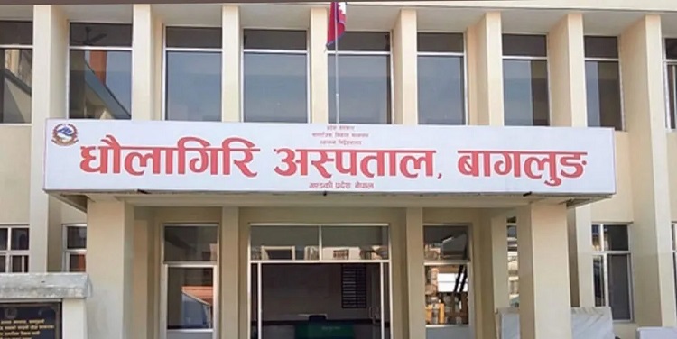 धौलागिरि अस्पतालमा सर्पदंशको सफल उपचार