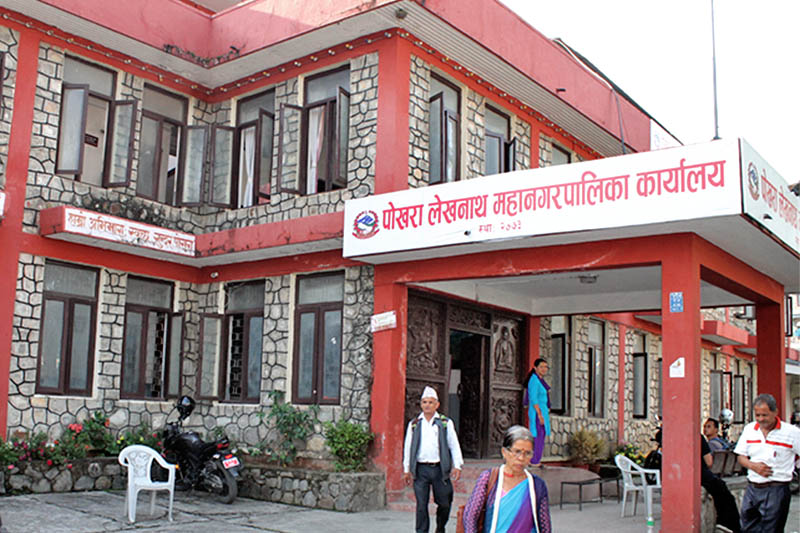 अनुदानमा धानको बीउ उपलब्ध गराउन सकिँदैन : पोखरा महानगर