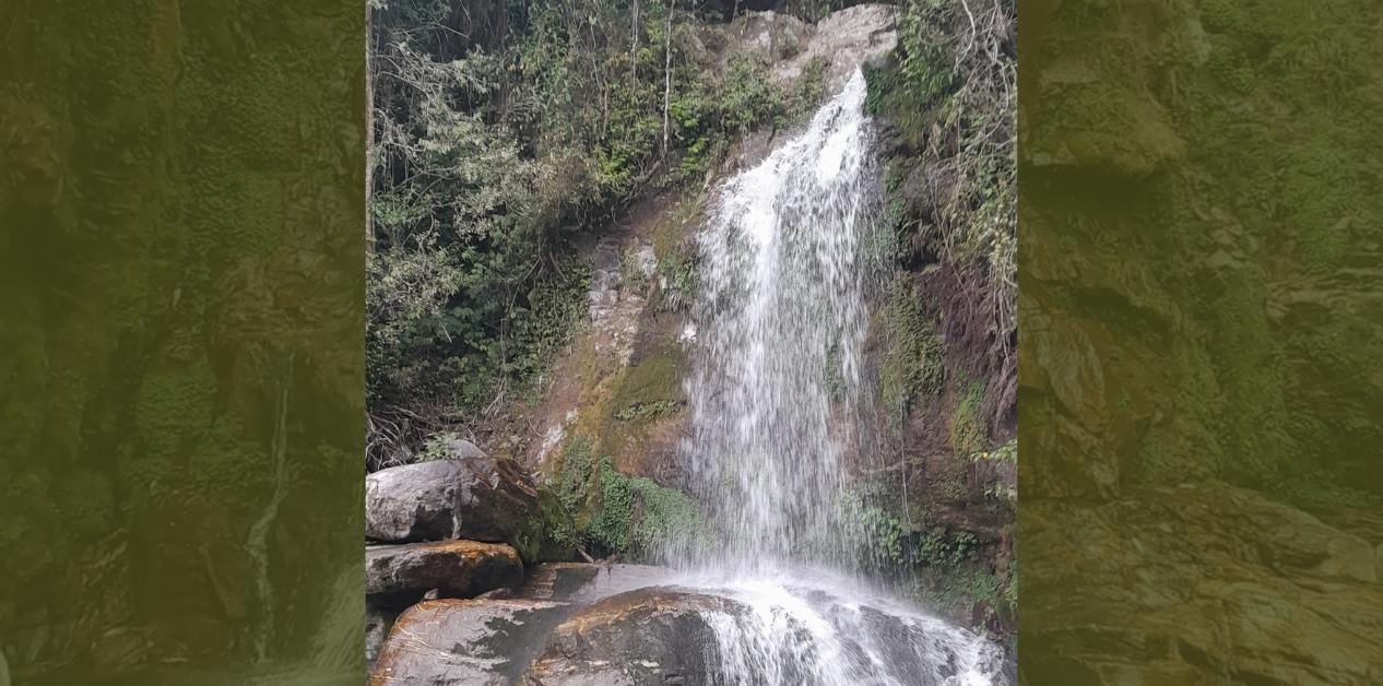 सावा छाँगाबाट सेवा !
