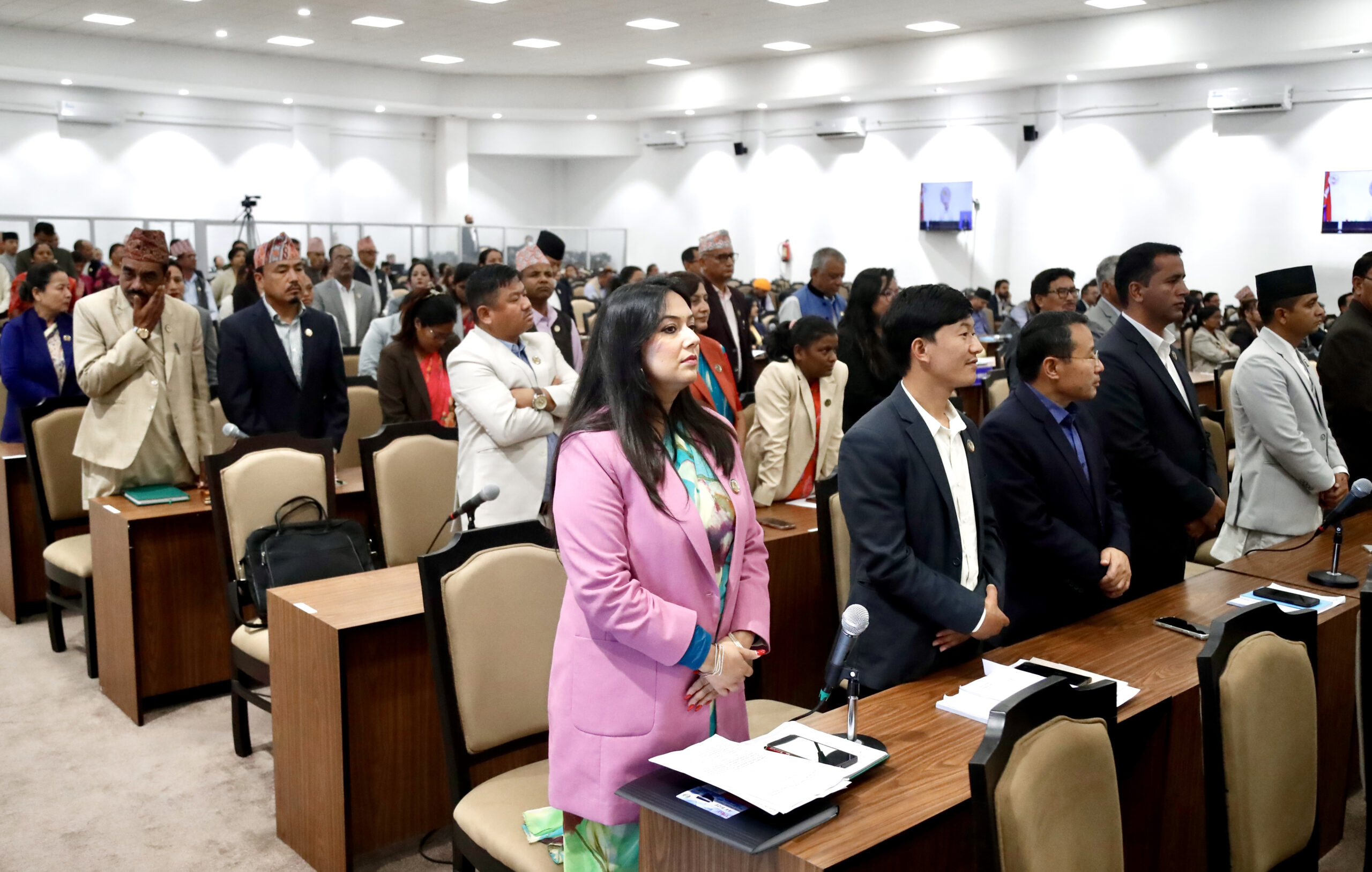 प्रतिनिधिसभा बैठक १५ मिनेटका लागि स्थगित