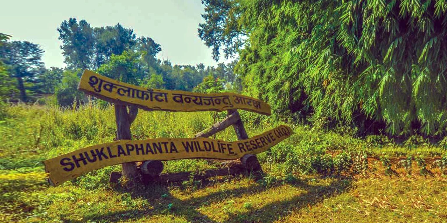 शुक्लाफाँटामा सुनौलो तोप चराको गणना सुरु