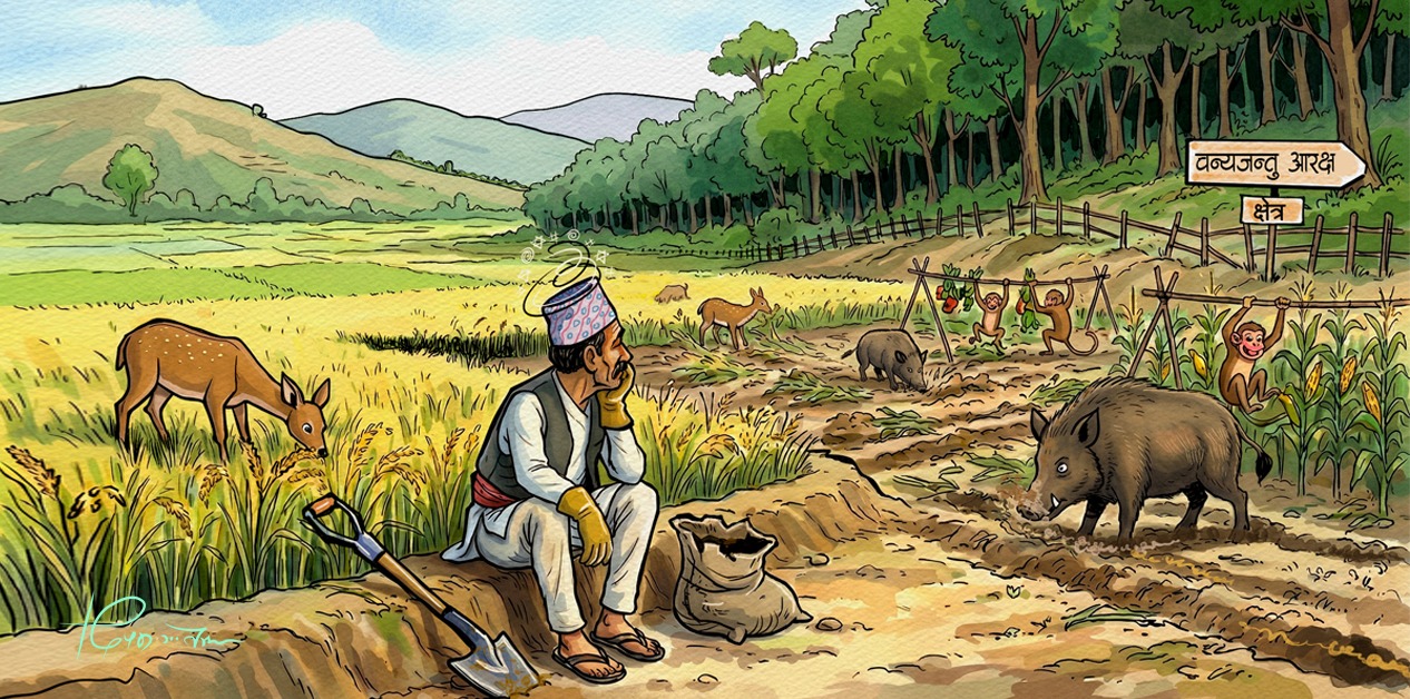 बाली नोक्सानीको विपद्