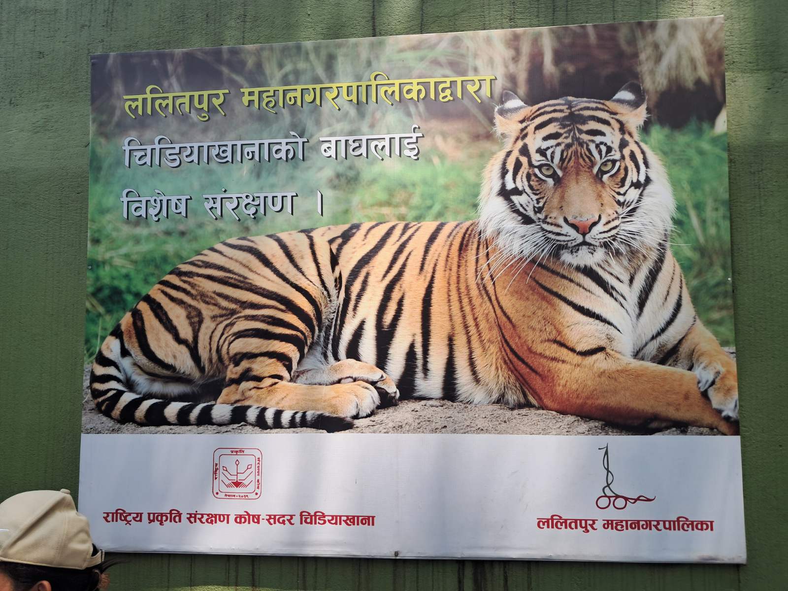दुई दिनको बिदाले चिडियाखानामा आगन्तुक बढे