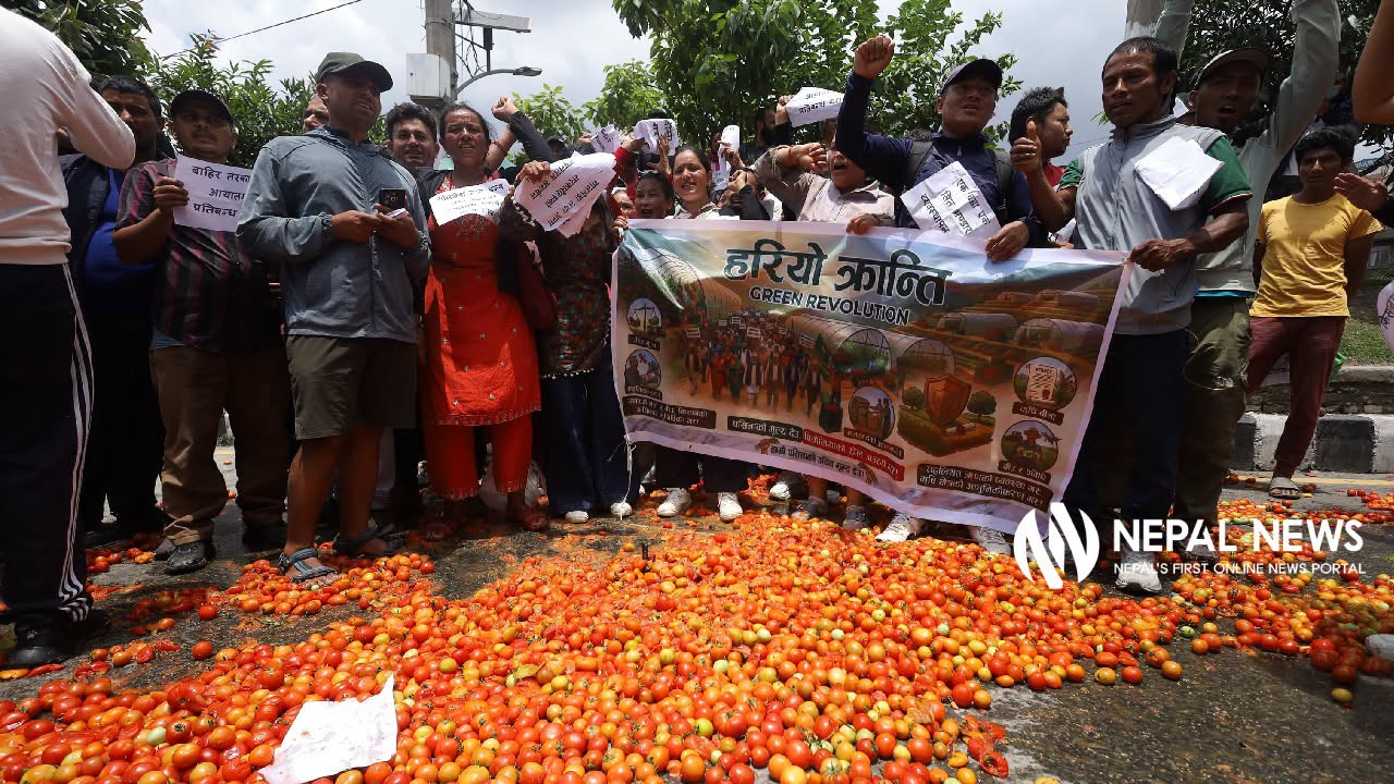 कालीमाटीबाट टमाटर उपत्यका बाहिर ढुवानी सुरु