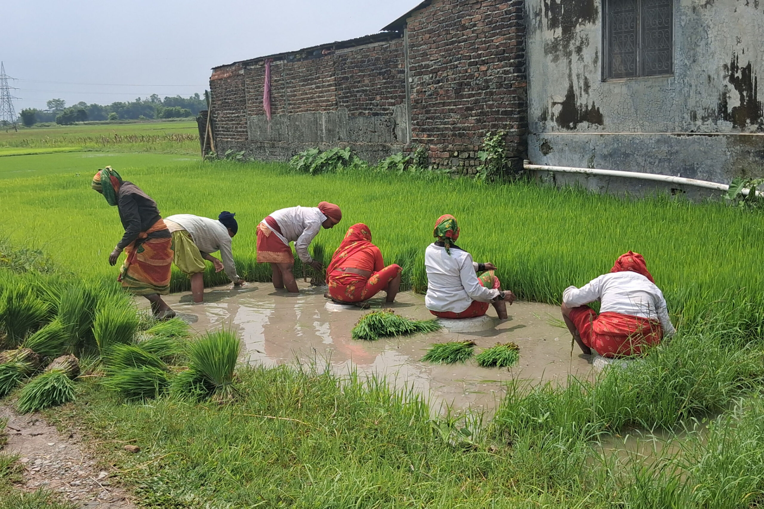 ‘सिँचाइ पूर्वाधार र कृषि उत्पादनलाई एकीकृत रूपमा अगाडि बढाइने’