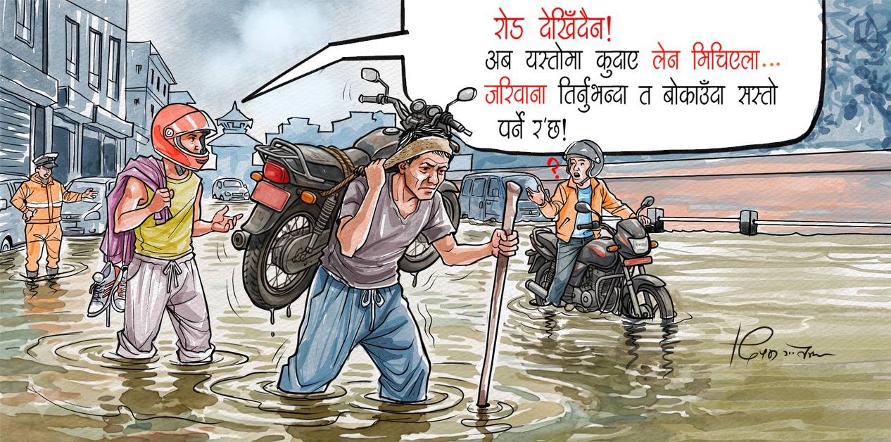 साताको कार्टुन