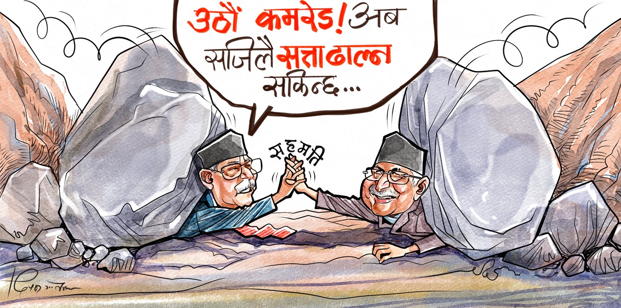 साताको कार्टुन