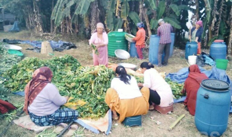गुन्द्रुकले बदलेको ग्रामीण महिलाको जीवनस्तर
