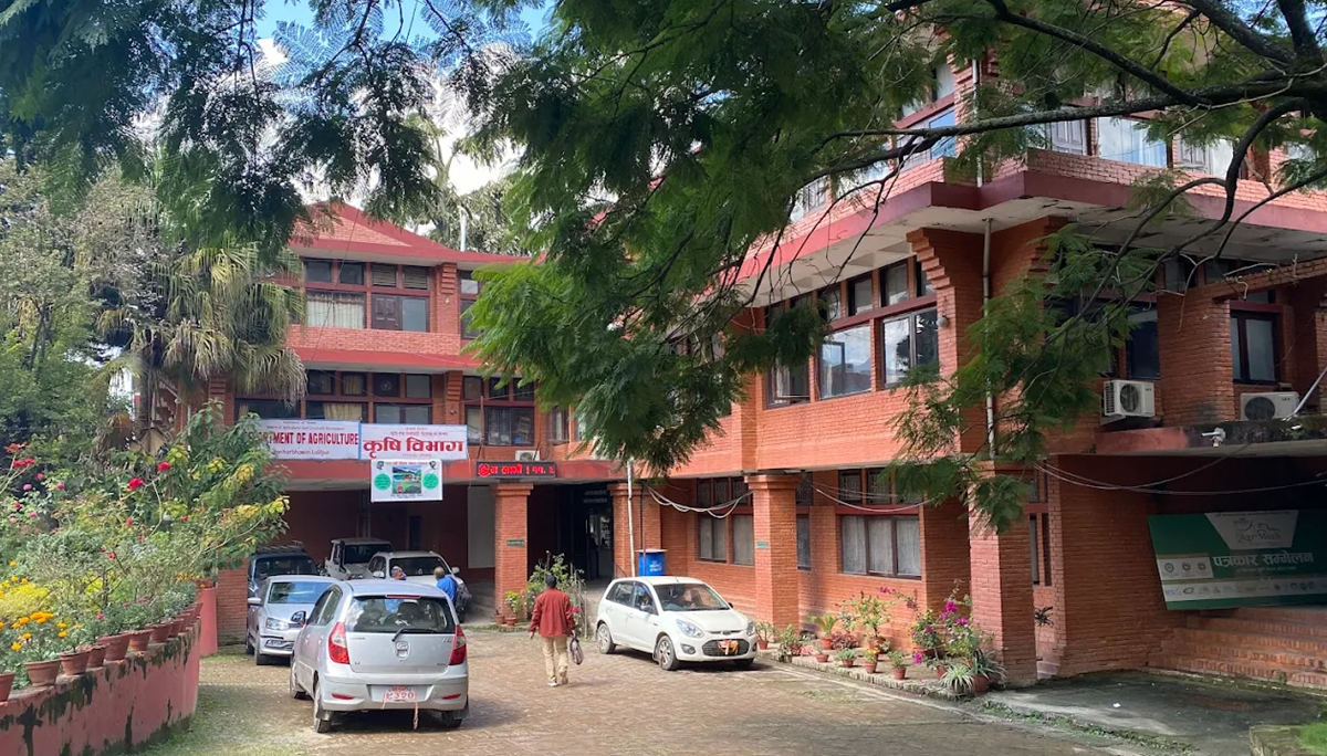 बीउ उत्पादन कार्यक्रम ५८ स्थानीय तहमा सञ्चालन