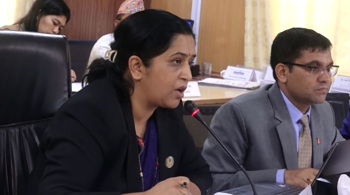 बालबालिकाको न्यूनतम मानवअधिकार सुनिश्चित गर्न कानुन समितिको निर्देशन