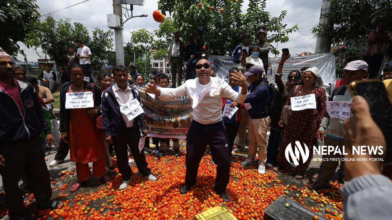 माइतीघरमा गोलभेँडा फालेर किसानले पाेखे आक्राेश (तस्बिरहरू)