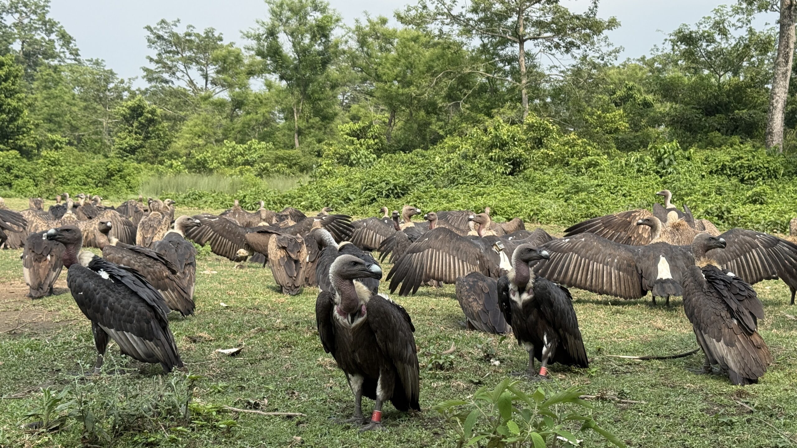 अध्ययन केन्द्र बन्दै जटायु रेस्टुरेन्ट
